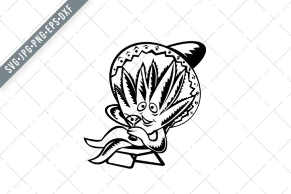 Agave Plant Wearing Sombrero